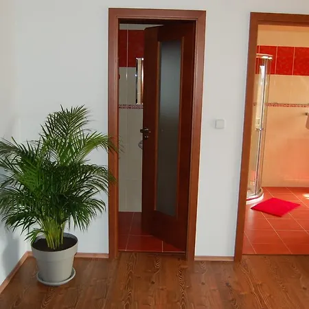 Apartmán Alfa Moravsky Pisek