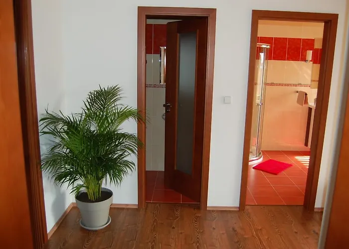 Apartmán Alfa Moravsky Pisek